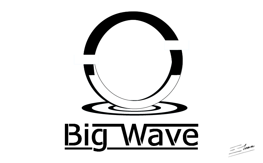 Black and white big wave logo